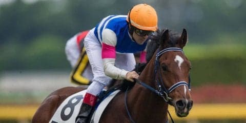 日曜東京５Ｒ新馬はルメール騎乗のワーケアが１番人気にこたえる