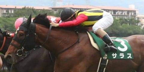 【マーメイドS】松若「必死に追いました」サラスが差し切りV！