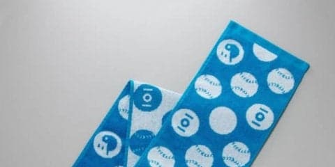 夏の高校野球オフィシャルグッズ発売…タオルや記念球など