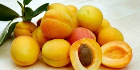 あんずの驚くべき効果効能