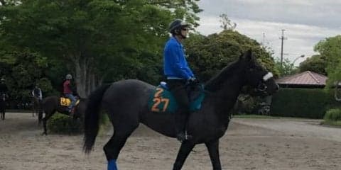 【注目新馬】サクセッション 国枝師「初戦から動けそう」