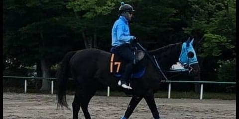 【ユニコーンS】ヴァイトブリック 和田郎師「次のことは考えずに全力投球」