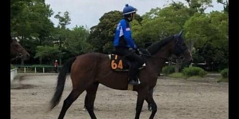 【ユニコーンS】デアフルーグ 津村「大きなところを狙える馬