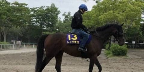 【宝塚記念1週前】レイデオロ ルメール「前が流れてくれるといいですね」