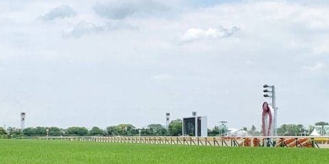 JRAで禁止薬物検出 16日(日)に競走除外となる出走馬は函館SSのダノンスマッシュなど