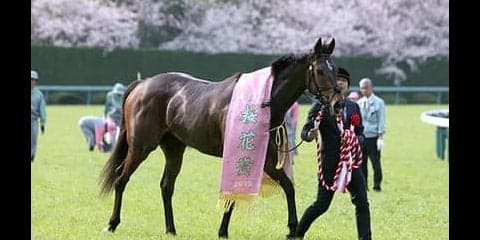 グランアレグリアの全弟ブルトガング「調教の動きはよくなっている」