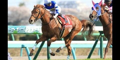 ユニコーンＳで穴党記者の意見が合致。ワイドファラオが砂嵐を起こす