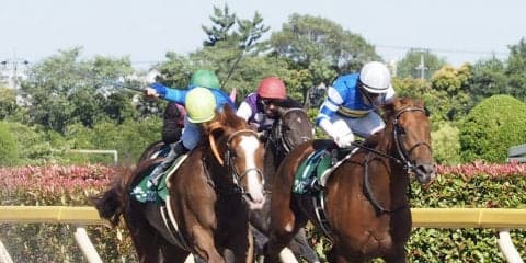 【ユニコーンS】ワイドファラオが逃げ切り！芝ダートで二刀流