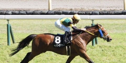 【町田特別】ベイビーステップが直線独走で押し切る