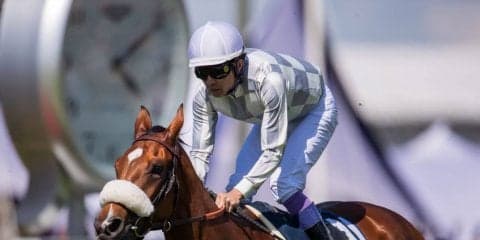 【仏オークス・ディアヌ賞】武豊騎乗のアマレナは15着