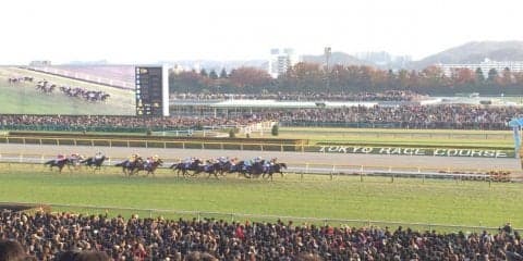 競走除外馬に対する優先出走権の付与について