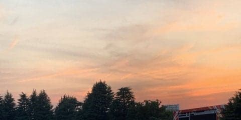 次週の出走予定馬の薬物検査について