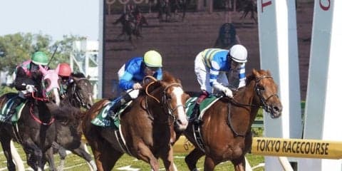 【ユニコーンS】好天にも恵まれ入場者数もアップ