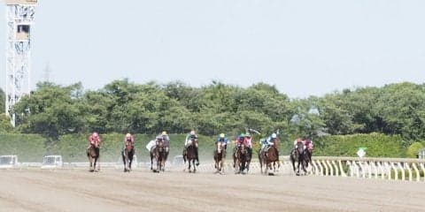 【ユニコーンS】安田隆師「首の上げ下げの差」レース後 関係者コメント