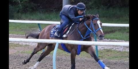 武豊が騎乗のディアドラ、調子は上々。英伝統レースで注目馬の状況は？