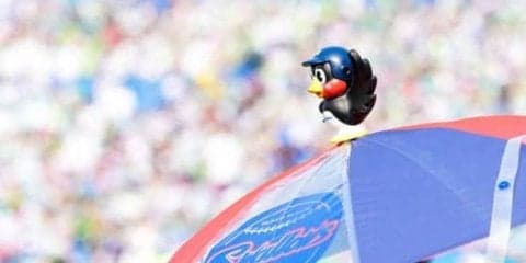 サザエさん一家がヤクルトユニを着用　燕の「サザエさん」とコラボデーにファン歓喜