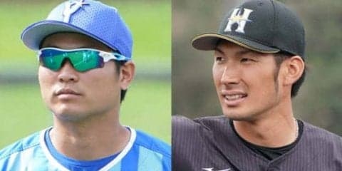 両軍11人が元巨人！　DeNA-日ハム戦が“同窓対決”に「頑張ることが巨人への恩返し」