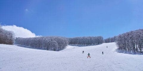 スケートシューズで雪上を滑る！新たなスキー場での楽しみ方になるか