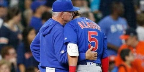 【MLB】ネット拡大に動いたWソックスに涙のアルモラJr.が賛辞　「彼らの動きは嬉しい」