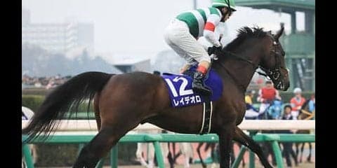 宝塚記念は５歳馬２頭に期待。今年苦戦中も馬場適性と血統はバッチリや