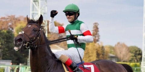 【宝塚記念】出走馬の調教後の馬体重