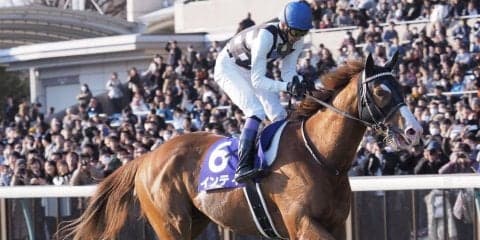 【帝王賞】JRA出走予定馬