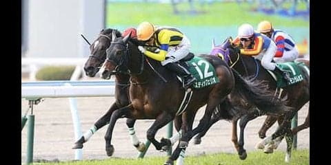 宝塚記念の穴馬パターンは３つ。該当する３頭と紅一点で気分爽快だ