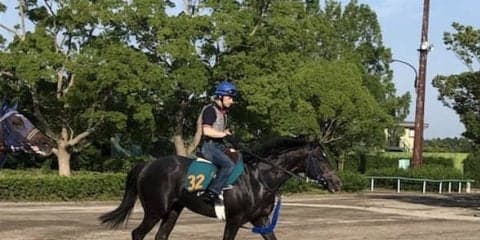 【注目新馬】ブルトガング  グランアレグリア全弟が始動