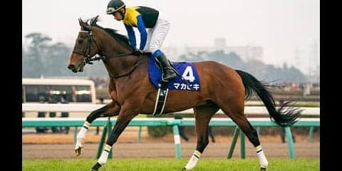 宝塚記念は波乱の余地あり。有力ＧＩ馬６頭の中に不気味な存在がいる