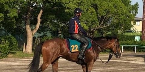 【注目新馬】クローストゥミー  稽古での動き良好