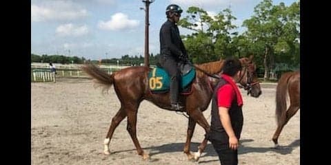 【注目新馬】ウイングレイテスト 素質は抜群！