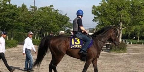 【宝塚記念】レイデオロ  ルメール「コンディションはバッチリ」