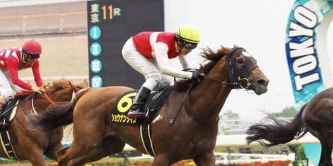 【パラダイスS】田辺「脚を溜めながら運べた」6番人気のショウナンライズがV