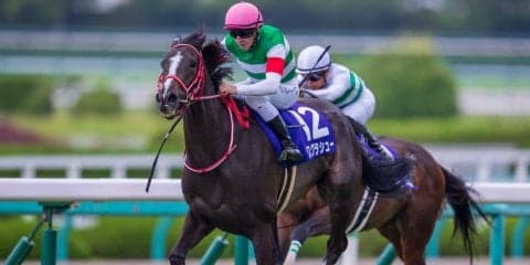 【宝塚記念】ルメール「馬場が合わなかったのかも…」関係者コメント