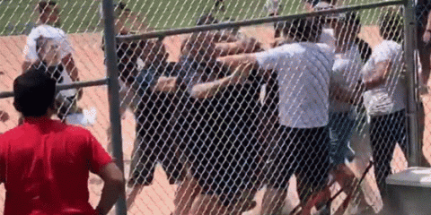 「成長する必要があるのは親」　米少年野球で起きた大人の大乱闘に米メディア忠告