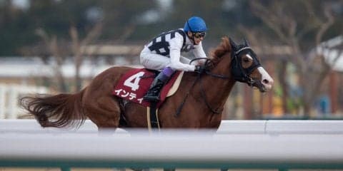 【帝王賞】枠順と見どころ 武豊インティは7枠11番