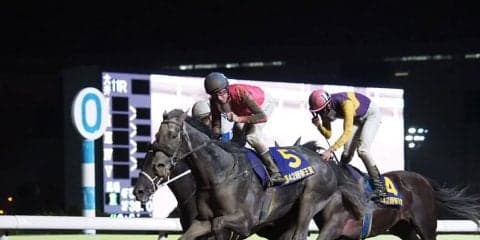 【帝王賞】オメガパフュームが差し切り勝ち