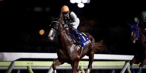 【帝王賞】武豊「脆さが出た」ジョッキーコメント