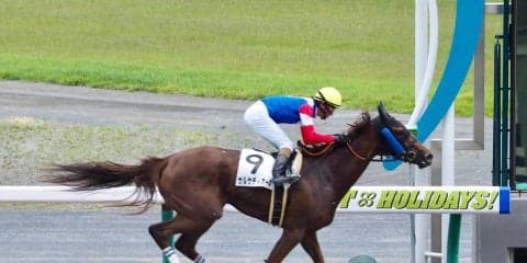 【スパーキングレディーカップ】JRA出走予定馬