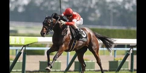 穴党記者からの提言。ラジオNIKKEI賞は「斤量と血統を重視すべし」