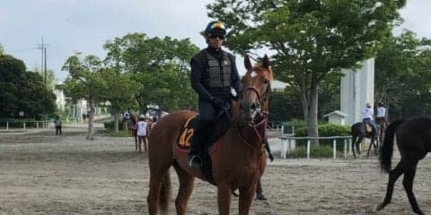 【ラジオNIKKEI賞】ウインゼノビア 距離短縮、小回りでチャンス