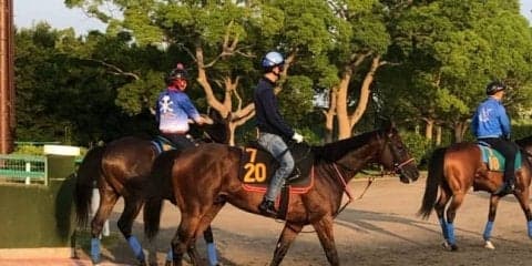 【ラジオNIKKEI賞】ダディーズマインド 立ち回りの上手さを生かす