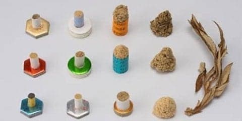 美容だけじゃない！スポ-ツシーンでも注目の鍼灸