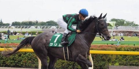 【マーキュリーカップ】出走予定馬について