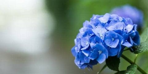 痛みだけではない「天気痛」とは？梅雨の時期の過ごし方について