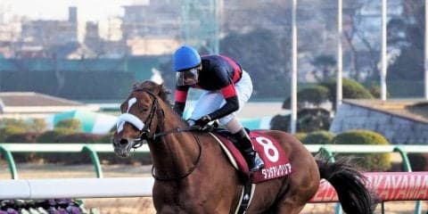 タンタアレグリア号が死亡