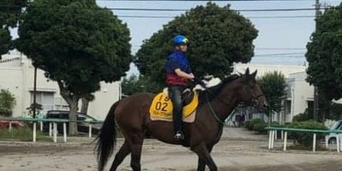 【七夕賞】マルターズアポジー 武士沢「マイペースで運べるか」