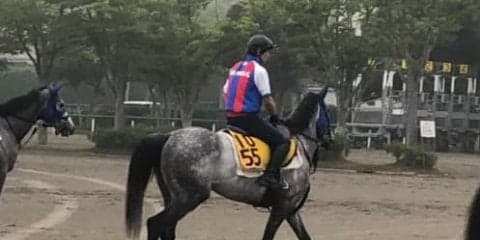 【七夕賞】ソールインパクト ここ数戦好調！初タイトルのチャンス