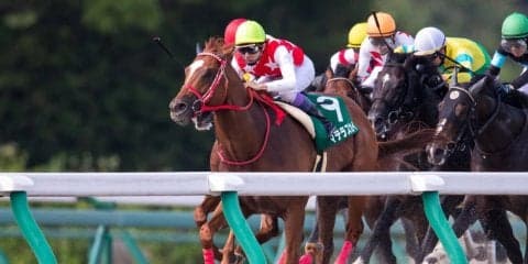 【プロキオンS】武豊「ハマったら強いのですが…」マテラスカイは5着敗退