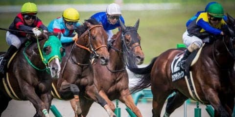 【有松特別】武豊 11番人気のムーンチャイムで差し切り！混戦から抜け出す